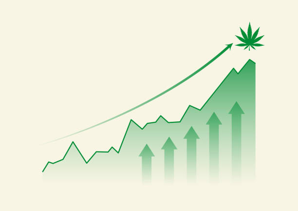 Cannabis stocks chart showing gains from Trump Schedule III reclassification marijuana investing
