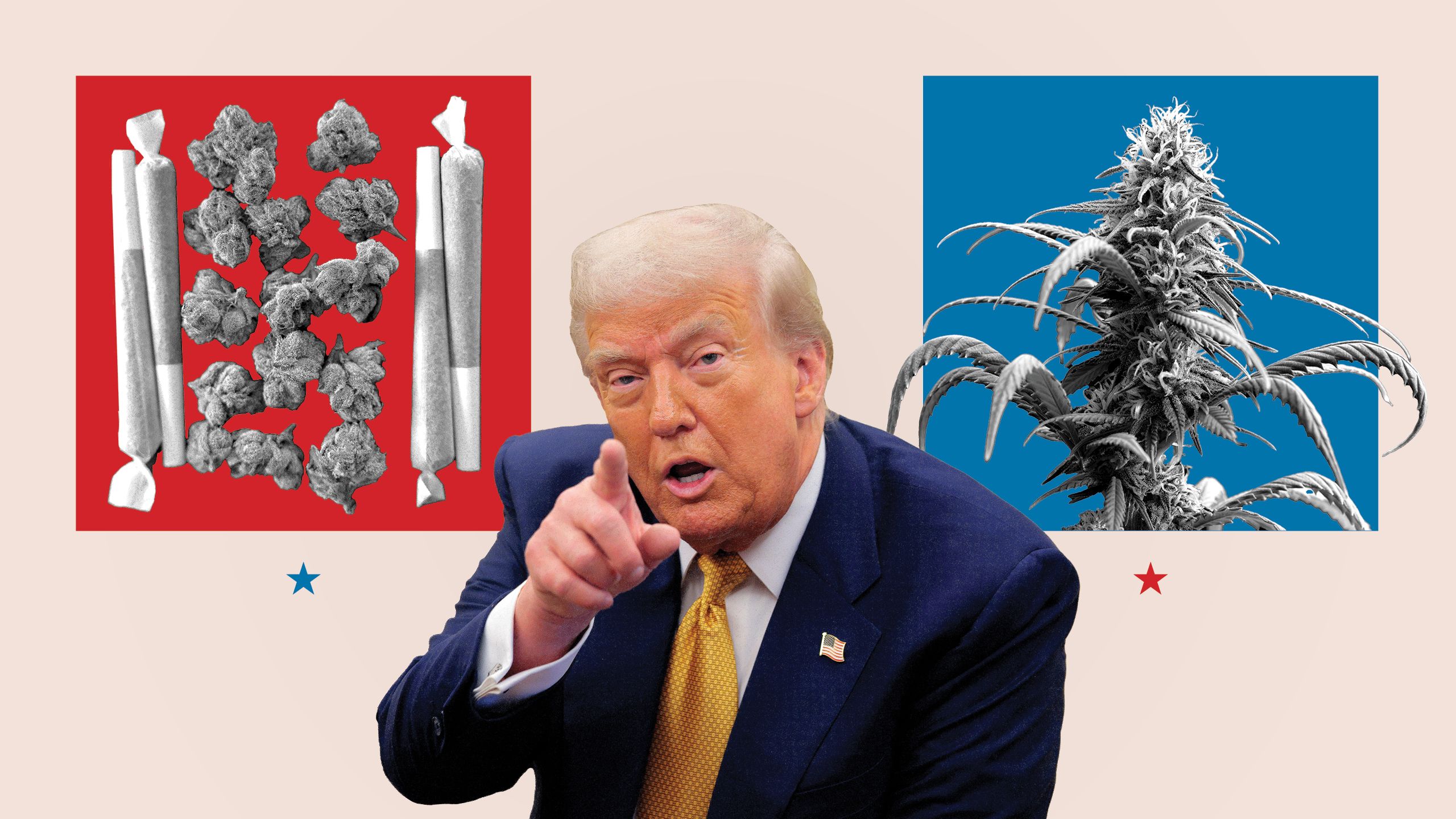 Trump cannabis reclassification executive order