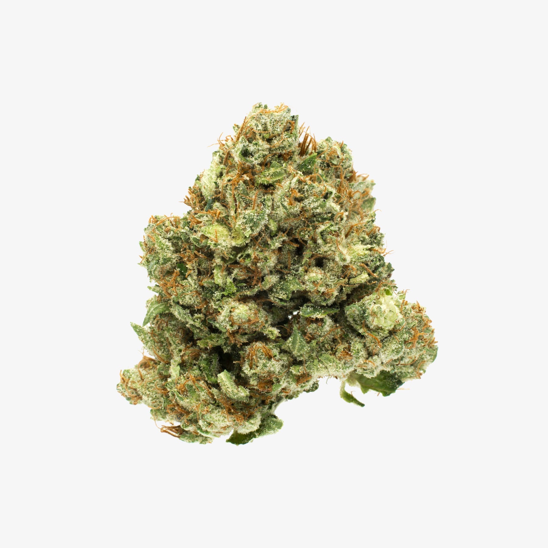 Trump OG strain cannabis buds close up showing trichomes and indica-dominant hybrid characteristics